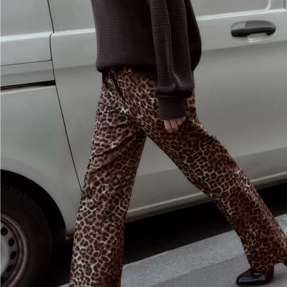 Zara Brown Leopard Print Women's Pants